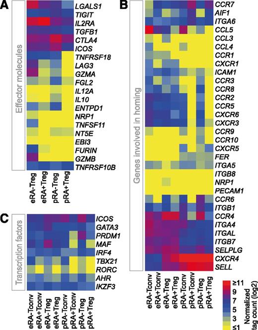 Figure 3. Effector molecule, homing receptor, and TF expression in T-cell subpopulations. Normalized gene expression data (log2 transformed) of (A) Treg effector molecules, (B) genes involved in homing, and (C) TFs. Data are presented as a heatmap with yellow, blue, and red representing low, intermediate, and high expression, respectively.