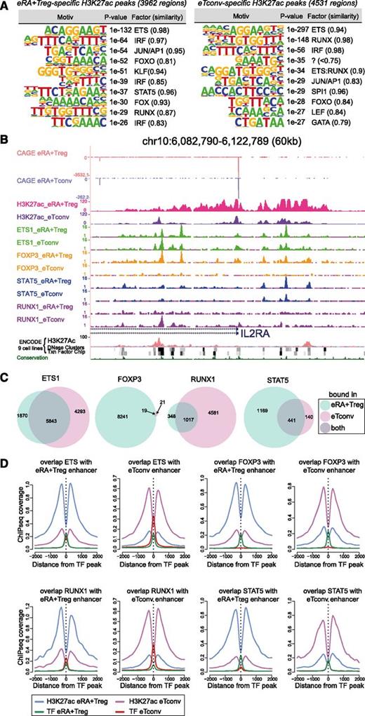 Figure 5. Cell type–specific enhancers. (A) Motif composition of cell type–specific active enhancers in eRA+Treg compared with eTconv. Shown are extracted de novo motifs, their hypergeometric P value, and the best matching known motif families (with the similarity score to the best matching known motif in parentheses). (B) An overview of the produced ChIP-seq data are illustrated by a UCSC genome browser graph (http://genome.ucsc.edu/) of a 60-kb region of the IL2RA promoter. (C) Venn diagrams for genome-wide TF binding events of ETS1, FOXP3, RUNX1, and STAT5 in eRA+Treg and eTconv. (D) ChIP-seq signal strength of STAT5, FOXP3, ETS1, and RUNX1 in eRA+Treg- and eTconv-specific active H3K27ac-marked enhancer candidates.