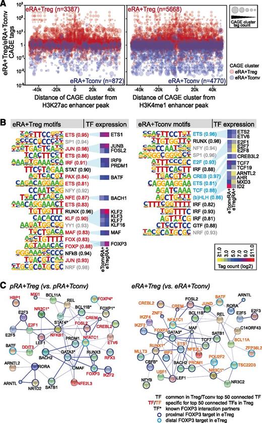 Figure 6. Correlation of cell type–specific enhancers to gene expression and potential regulators of T-cell subsets. (A) Bubble plot representations of CAGE TSS activity around eRA+Treg vs eRA+Tconv enhancer candidate regions showing at least twofold different H3K27ac or H3K4me1 signals. The bubble plots encode 3 quantitative parameters per CAGE cluster: distance from the putative enhancer, log10 fold change in CAGE cluster tag count between eRA+Treg and eRA+Tconv (y-axis), and the absolute CAGE cluster tag count of the T-cell subset with the highest expression level (bubble diameter). There is a clear bias for the putative enhancer elements to associate with CAGE clusters upregulated in the corresponding cell type (P < .001, Wilcoxon signed rank test). (B) A nonredundant combined set of de novo motifs from CAGE clusters and candidate enhancers in eRA+Treg vs eRA+Tconv. Shown are motifs with high similarity to known TF motifs. Absolute tag counts (log2 transformed) of differentially expressed TFs matching a de novo motif are presented as colored boxes with yellow, blue, and red representing low, intermediate, and high expression, respectively. (C) STRING-based networks (confidence views) of the top TFs predicted to have the strongest regulatory input in human Treg subsets compared with their Tconv counterparts (additional networks are shown in supplemental Figure 8). Only connected edges are included. Complete TF lists are provided in supplemental Table 5. Direct interaction partners or targets of FOXP3 are marked as indicated.