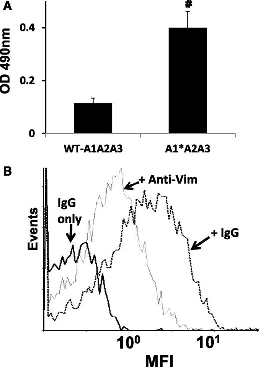 Figure 2. Interaction of the A1A2A3 proteins with vimentin. (A) WT-A1A2A3 protein or gain-of-function A1A2A3 mutant (250 nmol/L) was incubated with immobilized vimentin in the absence of ristocetin. The bound protein was determined by ELISA, using the antibody against human VWF as described in “Methods.” Bars represents the mean ± SD of values obtained from 3 determinations, #P < .01. (B) ADP-stimulated (20 μM) washed platelets were incubated with anti-vimentin antibody, V9, or mouse IgG (25 μg/mL), followed by the addition of the mutant A1A2A3 (250 nmol/L). Mouse IgG without the A1A2A3 mutant was used as negative control and is represented by the dark solid line. The V9 decreases the interaction of the mutant A1A2A3 with platelets by an average of 45% (dotted line), based on mean fluorescence intensities (MFIs). The data represent 2 separate experiments.