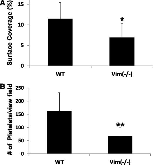 Figure 6. Vimentin-deficient platelets have a reduced platelet adhesion to collagen and VWF. Whole blood from WT (n = 6) or vimentin knockout mice (n = 7) was perfused over surfaces coated with (A) collagen fibrils or (B) purified plasma murine VWF at a shear rate of 1500 seconds−1. After perfusion, the plates were washed with buffer, and the attached platelets were recorded and quantified as described in “Methods.” The bar graph in A shows the percent of surface covered by the adhered platelets in 20 different fields of view (mean ± SD, *P < .05,), whereas B shows the average number of adhered platelets per view field as described in Figure 3 (**P = .10).