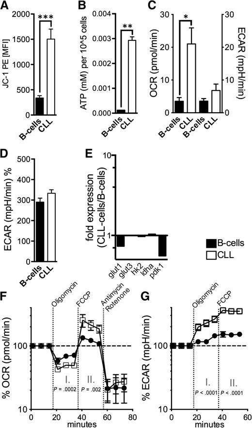 Figure 5. Mitochondrial metabolism in CLL cells. (A) The mitochondrial electrochemical membrane potential (∆ΨM) was semiquantified using the potentiometric dye JC-1 for HD B-cells (n = 10) and CLL cells (n = 10) by FACS. (B) ATP levels were measured in lysates from purified normal B-cells (n = 5) and CLL cells (n = 5) by ELISA. (C) Baseline OCR and ECAR were measured by an XFe96 flux analyzer in purified normal B-cells (n = 4) and CLL cells (n = 4). OCR is an indicator of mitochondrial respiration, and ECAR is predominantly the result of anaerobic glycolysis. (D) Mean ECAR levels on administration of glucose in purified normal B-cells (n = 4) and CLL cells (n = 4) as measured by an XFe96 flux analyzer. (E) The relative gene expression of key molecules of glycolysis (glut1; glut2; hexokinase-2, hk2; lactate dehydrogenase a, ldha; pyruvate dehydrogenase kinase 1, pdk1) is shown comparatively for purified HD B-cells (n = 10) and CLL cells (n = 10) as quantified by qPCR. (F) Respiration (OCR) is measured under basal conditions and in response to the indicated mitochondrial inhibitors in purified normal B-cells (n = 4) and CLL cells (n = 4). The resulting effects on OCR are shown as a percentage of the baseline measurement (set as 100%) for each treatment. Changes after oligomycin (I.) and FCCP (II.) application are indicative for respiration linked to ATP synthesis and the maximal respiratory capacity, respectively. (G.) ECAR is measured under basal conditions and in response to the indicated mitochondrial inhibitors in purified normal B-cells (n = 4) and CLL cells (n = 4). The resulting (compensatory) effects on ECAR are shown as a percentage of the baseline measurement (set as 100%). Bars indicate the standard error mean. Abbreviations: P, P-value; *P < .05; **P < .005; ***P < .001.