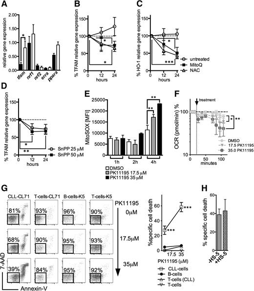 Figure 6. Regulation of mitochondrial biogenesis and mitochondrial targeting in CLL cells. (A) The relative gene expression of key molecules governing mitochondrial biogenesis (mitochondrial transcription factor A, tfam; nuclear respiratory factor 1, nrf1; nuclear respiratory factor 2, nrf2; estrogen-related receptor a, erra; peroxisome proliferator-activated receptor a, ppara) as analyzed in purified HD B-cells (n = 8) and CLL cells (n = 10). (B) The %al changes of the TFAM relative gene expression in purified CLL cells (n = 6) on treatment with the mitochondrial-specific antioxidant MitoQ and the general antioxidant NAC in comparison with untreated cells over 12 and 24 hours. (C) The %al changes of the HO-1 relative gene expression in purified CLL cells (n = 6) on treatment with the mitochondrial-specific antioxidant MitoQ and the general antioxidant NAC in comparison with untreated cells over 12 and 24 hours. (D) The %al changes of the TFAM relative gene expression in purified CLL cells (n = 6) on treatment with 25 μM and 50 μM of the HO-1 inhibitor tin-protoporphyrin (SnPP) over 12 and 24 hours. Bars indicate the standard error mean. (E) Effects of 17.5 µM and 35 µM PK11195 on the generation of mitochondrial ROS in CLL cells (n = 4) 1, 2, and 4 hours after its application based on the MFI of MitoSOX as quantified by FACS. (F) Respiration (OCR) is measured under basal conditions and in response to the indicated F1F0-ATPase inhibitor PK11195 in CLL cells (n = 4). The resulting effects on OCR are shown as a percentage of the baseline measurement (set as 100%). (G) A representative FACS analysis of the effects of a 24-hour PK11195 treatment on the viability of a CLL patient’s (CL71) CLL cells and T-cells and HDs’ (K5) B- and T-cells, respectively, is shown (left panel). Viable cells are 7-AAD and Annexin-V negative (highlighted box). (Right panel) the mean values of the %al specific death elicited by 17.5 µM and 35 µM PK11195 (for 24 hours) in CLL patients’ (n = 5) CLL cells and T-cells and HDs’ (n = 5) B- and T-cells. (H) Bone marrow stromal cells (eg, the HS-5 cell line) can protect CLL cells from drug-induced apoptosis. The %al specific cell death as assessed by (FACS) is shown for purified CLL cells (n = 4) treated with 35 µM PK11195 for 24 hours in the presence or absence of HS-5 cells. Bars indicate the standard error mean. Abbreviations: P, P-value; *P < .05; **P < .005; ***P < .001.