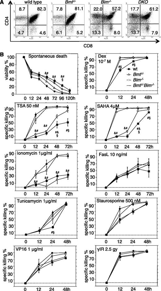 Figure 2. Bim and Bmf coregulate thymocyte apoptosis in response to stress, but only Bim appears critical for the developmentally programmed death of thymocytes. (A) Representative dot plots from flow cytometric analysis of single cell suspensions of thymocytes from 7- to 9-week-old mice of the indicated genotypes stained with CD4- and CD8-specific antibodies. (B) Sorted CD4+CD8+ thymocytes from 7- to 9-week-old mice of the indicated genotypes were placed in culture and incubated in the absence or presence of the indicated cell death inducers. Cell viability was assessed over time by AnnexinV/propidium iodide (PI) staining and flow cytometric analysis (Annexin V−/PI− cells were considered alive). Data are presented as means ± SEM of ≥4 independent experiments and 4 to 8 animals per genotype. Significant differences by ANOVA (P < .05) at individual time points &between WT and Bim−/−, #between WT and DKO, and §between Bim−/− and DKO cells. Due to differences in spontaneous cell death in culture, specific drug-induced killing was calculated using the formula (induced apoptosis − spontaneous cell death)/(100 − spontaneous cell death) (%).