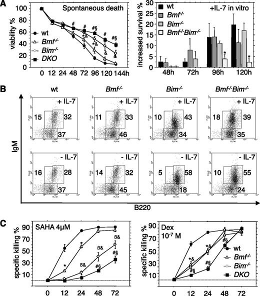 Figure 3. Overlapping roles of Bim and Bmf in the control of pre-B-cell survival. (A) Pre-B cells (B220+CD43−IgM−) were isolated from the bone marrow of 7- to 9-week-old mice of the indicated genotypes and placed in culture (left) without additional treatment or in the presence of 10 ng/mL recombinant IL-7. (Right) Relative survival advantages induced by IL-7 were assessed over time. (B) B220+IgM− pro/pre-B cells were sorted from the bone marrow of 7- to 9-week-old mice of the indicated genotypes and cultured for 96 hours in the presence or absence of IL-7. sIgM expression was monitored by flow cytometric analysis. Representative dot plots from 1 of 3 independent experiments are shown. (C) Fluorescence-activated cell sorter-sorted pre-B cells from the bone marrow of 7- to 9-week-old mice of the indicated genotypes were treated in culture with the HDAC inhibitor SAHA or the glucocorticoid dexamethasone, and cell survival was assessed over time by flow cytometric analysis. Data are presented as means ± SEM of ≥3 independent experiments and 3 to 6 animals per genotype. *Significant differences by ANOVA (P < .05) at individual time points between WT and Bmf−/− derived cells; &between WT and Bim−/−, βbetween Bim−/− and Bmf−/−, #between WT and DKO, and §between Bim−/− and DKO cells. Due to differences in spontaneous cell death in culture, specific drug-induced killing was calculated using the formula (induced apoptosis − spontaneous cell death)/(100 − spontaneous cell death) (%).