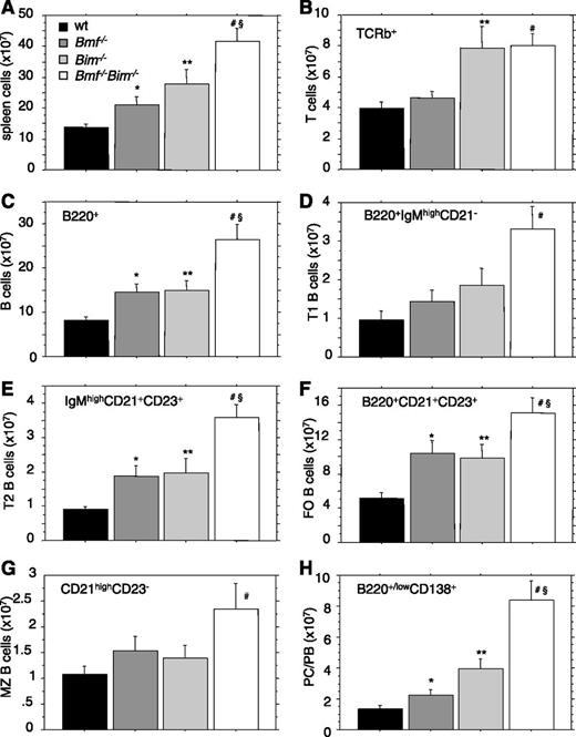 Figure 4. Loss of Bmf enhances the B cell-restricted lymphadenopathy caused by loss of Bim. (A-H) Spleens were harvested from 7- to 9-week-old mice of the indicated genotypes and single cell suspensions were counted to assess total leukocyte cellularity. Cell suspensions were stained using different combinations or fluorochrome-labeled antibodies for identification of total splenic T and B cells, as well as T1, T2, MZ, and FO B cells and PC/PBs. Data are presented as means ± SEM of ≥4 independent experiments and 4 to 8 animals per genotype. Significant differences by unpaired Student t test (P < .05) are indicated *between WT and Bmf−/−, **between WT and Bim−/−, #between WT and DKO, and §between Bim−/− and Bim/Bmf DKO mice.