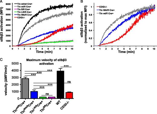 Figure 5. Expression of talin1(W359A) causes decelerated αIIbβ3 activation in platelets. The kinetics of αIIbβ3 activation were assessed in real time by flow cytometry. Jon/A-PE and Par4-AP were added simultaneously (arrow) to platelets of the indicated genotype. Jon/A-PE binding (integrin activation) was monitored continuously for 10 minutes. Tln1W359A/flCre+ (Tln1WA/flCre+) platelets were compared with (A) Tln1wt/wtCre+(WT), Tln1wt/flCre+, Tln1fl/flCre+, and Tln1L325R/flCre+ (Tln1LR/flCre+) platelets, and CalDAG-GEFI−/− (CDGI−/−) platelets. Traces are representative of 3 independent experiments. (B) Real-time Jon/A-PE binding data are shown normalized for maximum binding within each group. Maximum values for the indicated groups were calculated as the average MFI over the final 10 seconds of the 10-minute assay. (C) Maximum velocity of αIIbβ3 activation, determined as the maximal rate of change of MFI over time (ΔMFI/minute). *P < .05, **P < .01, ***P < .001.