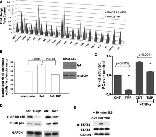 Figure 4. Inhibition of Sp1 activity impacts NF-κB and STAT3 pathways in WM cells. (A) Nuclear extracts from Sp1 knockdown or TMP-treated MWCL1 cells were analyzed for TF activation using a TF profiling array. Relative fold changes from corresponding control are plotted. (B) BCMW1 cells were electroporated with control or Sp1 expression vector, NF-κB luciferase reporter plasmid, and pRL-TK to normalize for different transfection efficiencies; following electroporation, cells were treated with vehicle or 10 µM TMP, and 24 hours later luminescence was measured using the Dual-Luciferase assay kit and the GloMax microplate luminometer. Results are expressed as a percentage of Firefly/Renilla ratio of control-transfected cells. Whole lysates from these transfected cells were immunoblotted using anti-Sp1 and anti-α-tubulin (Santa Cruz Biotechnology) antibodies. (C) BCWM.1 cells were cultured with TMP (10 µM) for 24 hours, and then TNF-α was added for the last 20 minutes. NF-κB p65 TF binding to its consensus sequence on the plate-bound oligonucleotide was analyzed in nuclear extracts. The results represent means ± SD of triplicate experiments. (D) Whole cell lysates from Scr, or Sp1-specific siRNA- or control, or TMP-treated BCWM.1 cells were subjected to WB using anti–p-NF-κB p65, -NF-κB p65, and -GAPDH antibodies. (E) BCWM1 cells were treated with IL-6 with and without TMP and assessed by WB analysis using anti–p-STAT3, -STAT3, and -GAPDH antibodies.
