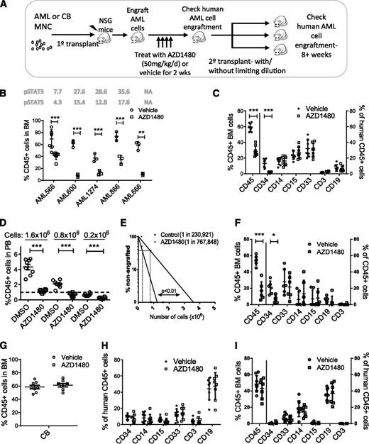 Figure 5. In vivo administration of AZD1480 reduces primary human AML but not normal stem cells in NSG mice. (A) AML or CB mononuclear cells were transplanted into NSG mice. After 6 to 10 weeks, engraftment was confirmed, and mice were treated with AZD1480 (50 mg/kg) or vehicle daily for 2 weeks and evaluated for human cell engraftment. In 1 experiment, secondary transplant of BM cells to NSG mice was performed, and human cell engraftment was evaluated after 8 weeks. (B) Human CD45+ cells in BM of mice engrafted with AML cells (AML566, AML600, AML666, AML866, and AML1274) following 2 weeks of treatment with AZD1480 or DMSO. The pSTAT3 and pSTAT5 expression levels for each sample are indicated in the figure. (C-E) Pooled AML CD34+ cells from 2 patients (AML 404 and 755) were transplanted into NSG mice that were subsequently treated with AZD1480 or vehicle for 2 weeks, following which BM cells from primary recipient mice were transplanted in limiting dilutions (1.6 × 106, 0.8 × 106, 0.2 × 106 cells per mouse × 8 mice each) into secondary recipient mice, and human CD45+ cells in PB and BM (1.8 × 106 only) were evaluated after 8 weeks. (C) Human AML CD45+ cells and expression of differentiation markers on engrafted CD45+ cells in BM of primary recipients following AZD1480 or DMSO treatment. (D) Human CD45+ cells in PB cells of secondary recipients 8 weeks after limiting dilution transplant of BM cells from primary recipients. (E) Stem cell frequency in AZD1480- and DMSO-treated mice calculated using Poisson statistics. (F) Engraftment of human AML CD45+ cells and expression of differentiation markers on engrafted CD45+ cells in BM of secondary recipients at 8 weeks after transplant. (G) Human CD45+ cells in BM of mice engrafted with CB cells and treated for 2 weeks with AZD1480 or DMSO. (H) Expression of differentiation markers on human CB CD45+ cells in BM after AZD1480 or DMSO treatment. (I) Engraftment of human CD45+ cells and expression of differentiation markers on engrafted CD45+ cells in BM of secondary recipients at 8 weeks after transplantation of BM cells from AZD1480-treated and control mice. Results represent mean ± SEM. Significance values: *P < .05, **P < .01, ***P < .001.