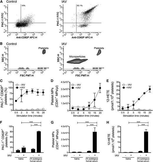 Figure 1. IAV H1N1 activation of platelets is dependent on the presence of serum. Human platelets (100 × 106/mL) bathed in 2% HS were incubated with saline (control) or stimulated with IAV H1N1 for 20 minutes. (A) Expression of the active form of integrin α2β3 (PAC-1 binding) and CD62P on CD41+ platelets analyzed by flow cytometry. (B) Representative forward scatter photomultiplier tube (FSC-PMT) and side scatter (SSC) portrayals of the CD41+ events detected upon treatment with IAV. The relative dimensions (in nanometers) of the MPs are presented according to size-defined microsphere calibrations. Kinetics of platelet activation by IAV. Platelets (100 × 106/mL) incubated in 2% HS were incubated with vehicle or stimulated with IAV H1N1 for varying periods of time (0.5-20 minutes), after which expression of the active form of integrin α2β3 (PAC-1 binding) and CD62P (C), MP formation (D), and 12-HETE synthesis (E) were measured. Serum is required for platelet activation. Washed human platelets (100 × 106/mL) were incubated without or with IAV H1N1 in the absence or in the presence of 2% autologous serum. After 20 minutes, the expression of the active form of integrin α2β3 (PAC-1 binding) and CD62P (F), MP formation (95% confidence interval, 7473-428 855) (G), and 12-HETE synthesis (H) were measured. (F-H) N = 35; data are mean + standard error of the mean (SEM). ***P < .0001.