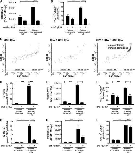 Figure 2. Platelet activation by immune complexes. Washed human platelets (100 × 106/mL) were incubated in the presence of monomeric IgG or HA-IgG in the absence or in the presence of IV.3 monoclonal antibody (mAb). After 20 minutes, MP production (A) and expression of the active form of integrin α2β3 (PAC-1 binding) and CD62P (B) were determined. N = 3; data are mean ± SEM. (C) IAV H1N1 was incubated in presence of purified human IgG, and the formation of virus-containing immune complexes (right panel) was determined by hs-FCM using a fluorescent antibody, the antigen-binding fragment Fab2, conjugated to anti-human IgG. The relative dimensions (in nanometers) of the immune complexes are presented according to size-defined microsphere calibrations. (D-F) Washed human platelets (100 × 106/mL) were incubated with purified human IgG without or with IAV H1N1 in the absence or in the presence of IV.3 mAb. After 20 minutes, the production of 12-HETE (D), formation of MPs (E), and induction of PAC-1 binding/CD62P (F) were evaluated. (D-F) N = 5; data are mean + SEM. Human platelets (100 × 106/mL) bathed in 2% HS were preincubated or not with IV.3 mAb and stimulated with HBSS (as control) or stimulated with IAV H1N1 for 20 minutes. The production of 12-HETE (G), formation of MPs (95% confidence interval, 9813-472 494) (H), and induction of the active form of integrin α2β3 (PAC-1 binding) and CD62P (I) were determined. (G-I) N = 35; data are mean + SEM. **P < .001; ***P < .0001; NS, nonsignificant.