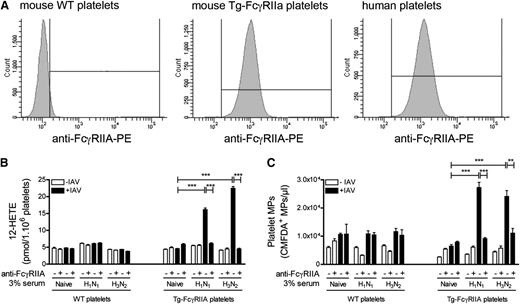 Figure 3. Mouse platelet activation by IAV H1N1 requires FcγRIIA. (A) Surface expression of FcγRIIA (CD32a) on WT (left), Tg-FcγRIIA (middle), and human platelets (right) was determined by incubating platelets with V450-labeled anti-CD41 and phycoerythrin (PE)–conjugated anti-CD32a antibodies followed by fluorescence-activated cell sorter analysis. (B-C) Platelets from WT and Tg-FcγRIIA mice were incubated with 3% serum from influenza naïve, H1N1-immune, or H3N2-immune mice in the absence or in the presence of IAV H1N1 and IV.3 mAb. After 60 minutes, 12-HETE (B) and MP (C) production were determined. N = 5; data are mean + SEM. **P < .001; ***P < .0001.