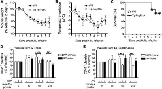 Figure 4. IAV infection of WT and Tg-FcγRIIA mice. WT and Tg-FcγRIIA mice were infected intranasally with 25 µL of PBS (control) or 25 µL of PBS containing a sublethal dose of IAV H3N2. Forty-eight days later, mice were inoculated intranasally with 5 LD50 of IAV H1N1. Mouse weight (A), body temperature (B), and survival (C) were recorded every day for 9 days. N = 8 mice per group. (D-E) WT and Tg-FcγRIIA mice were injected intranasally with 25 µL of PBS (control) or 25 µL of PBS containing a sublethal dose of IAV H1N1. Sixty-eight days later, mice were inoculated intravenously with 108 TCID50 of heat-inactivated IAV H1N1 (to induce the formation of immune complexes). At the indicated periods of time, venous blood was collected and incubated with allophycocyanin (APC)-labeled anti-CD41 or matched isotypic controls. The percentages of circulating platelets (CD41+) measured at each indicated time point were determined by quantitative flow cytometry using their respective group measured at T = 0 as relative controls. Data are mean ± SEM; N = 7-8 mice per time point. **P < .001; ***P < .0001; NS, nonsignificant.