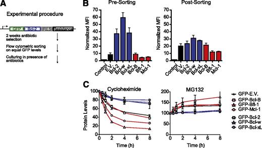 Figure 5. Prosurvival Bcl-2 proteins differ greatly in steady-state expression due to proteasomal turnover. (A) Schematic overview of the procedure to make J16 cell lines stably expressing N-terminal GFP fusions of the prosurvival Bcl-2 proteins at equal levels. (B) J16 cell lines transduced with constructs encoding N-terminal GFP fusions of the individual prosurvival Bcl-2 proteins as depicted in (A) were selected with antibiotics for 2 weeks, flow cytometrically sorted on equal GFP fluorescence intensity, and cultured on antibiotics for another week. Mean fluorescence intensity (MFI) of GFP was determined just before sorting (left) or 1 week after sorting (right) and normalized to untransduced cells (control). Data are shown as mean values ± SD of 3 independent transductions. (C) J16 cell lines expressing GFP fusions of the indicated prosurvival Bcl-2 proteins or empty vector (E.V.) were sorted on equal GFP fluorescence intensity and treated with the protein-synthesis inhibitor cycloheximide (50 µg/mL) or proteasome inhibitor MG132 (50 µM). At the indicated time points, GFP fluorescence intensity was assessed for each cell line by flow cytometry and expressed relative to its fluorescence intensity at the 0-hour time point, which was set at 100%. GFP expressed from the empty vector (E.V.) was a target for proteasomal degradation (C). This was due to a cloning artifact, only present for the E.V. but not for the fusion proteins, that endowed GFP-E.V. with a destabilizing C-terminal amino acid stretch (results not shown). Data are from 3 independent experiments and show mean values ± SD.