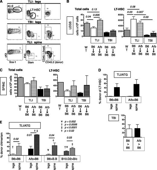 Figure 4. Engraftment of HSC differs in distinct marrow sites after TLI/ATG. Thy1.2.CD45.1 B6 mice underwent TLI/ATG or sublethal TBI (475 cGy) and were injected IV with 10 000 congenic Thy1.1.CD45.2 B6 or miAg-mismatched AKR/b (Thy1.1. CD45.2) KTLS-HSC. At 2 weeks (A-D) and 3 months (E) post-HCT, the level of donor chimerism of HSC in the BM of the legs vs the vertebrae was assessed. (A) Representative FACS plots and gating schema reveals no evidence of engrafted donor LT-HSC in the legs after TLI/ATG (top), and mixed chimerism after TBI (middle). After TLI/ATG, donor and host LT-HSC were detectable in the BM of irradiated spine (bottom). (B) Compiled data on absolute cell counts per 2 legs in WT mice (dark gray); TLI/ATG-treated B6 recipients of B6-HSC (solid white); AKR/B (A/b)-HSC (white with stripes); TBI-conditioned B6 recipients of B6-HSC (solid black); and AKR/B-HSC (black with stripes). AKR/b grafts resulted in higher cell counts in B6 recipients compared with B6 grafts (left). Absolute numbers of LT-HSC per 2 legs in WT mice; TLI/ATG-treated B6 recipients of B6-HSC and AKR/B-HSC; and TBI-conditioned B6 recipients of B6-HSC and AKR/b-HSC (right). (C) Compiled absolute cell counts per 5 vertebrae from spines of WT mice, TLI/ATG vs TBI-treated B6 recipients of B6-HSC and AKR/b-HSC, respectively, revealing insignificant differences between groups (left). Absolute numbers of LT-HSC per 5 vertebrae of WT mice, TLI/ATG vs TBI-treated B6 recipients of B6-HSC and AKR/b-HSC showing no significant differences (right). (D) Compiled data on percent donor chimerism in TLI/ATG-treated (top) and TBI-treated (bottom) B6 recipients of B6-HSC or AKR/B-HSC in legs and spine, respectively. (E) Percent donor chimerism at 3 months post-HCT in TLI/ATG-treated B6 (H2b) recipients of B6-HSC (H2b), B6 recipients of AKR/b-HSC (H-2b), BALB.B (B.B; H-2b) recipients of B6 HSC, and BALB/c (B/c; H-2d) recipients of B10.D2 HSC (H-2b) in legs (solid) and spines (striped pattern), respectively. N = 3 to 6 animals per experimental group.