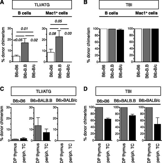 Figure 5. LT engraftment patterns and the origins of T cells are different after TLI/ATG vs TBI conditioning. A total of 10 000 KTLS-HSC from B6 (H-2b) donors was infused into B6 (H-2b), BALB.B (H-2b), and BALB/c (H-2d) recipients. (A) Compiled data of percent donor chimerism achieved in the blood for B cells (left) and Mac1+ (CD11b+) myeloid cells (right) at 3 months post-HCT following TLI/ATG conditioning. There was no engraftment in MHC-mismatched BALB/c recipients. (B) Compiled percent donor chimerism achieved in the blood for B cells (left) and Mac1+ (CD11b+) myeloid cells (right) at 3 months post-HCT following TBI conditioning (950 cGy for B6; 800 cGy for BALB), showing full donor chimerism in both lineages in all groups. (C) Bar graphs display percent donor chimerism of CD4+CD8+ immature thymic T cells and peripheral blood TCRβ+ T cells with low level of donor chimerism in both populations in B6 and BALB.B, but not BALB/c recipients following TLI/ATG conditioning. (D) Thymic T cells were largely donor derived across all groups, and peripheral blood T cells were mixed chimeric following TBI. N = 4 to 8 animals per experimental group.