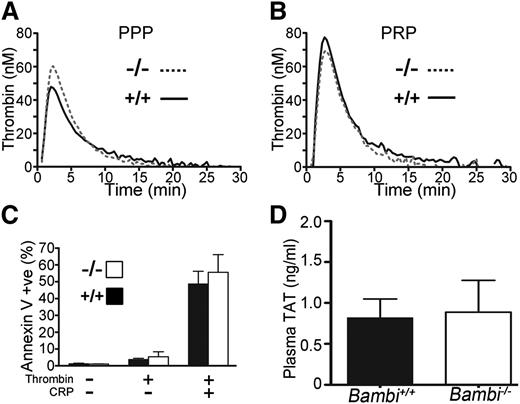 Figure 5. Bambi−/− platelets express PS normally and retain their procoagulant ability. Thrombin generation was measured in mouse citrate-anticoagulated plasma supplemented with 1pM TF, 16.6mM CaCl2, fluorogenic substrate Z-GGR-AMC, and 4µM phospholipids (A) or PRP (108/mL final concentration) (B) in the presence of corn trypsin inhibitor. Representative traces of thrombin generation in PPP (A) or PRP (B) from Bambi+/+ (n = 4) and Bambi−/− mice (n = 3). Thrombin generation was determined from the accumulation of fluorescent product and calculated relative to a thrombin calibrator. Each PPP and PRP sample was run in duplicate. For peak height values, see supplemental Table 3. (C) Exposure of PS was detected with Annexin V–FITC by flow cytometry using Bambi+/+ and Bambi−/− washed platelets stimulated with thrombin (1 U/mL), or a combination of thrombin and CRP (10 µg/mL) for 15 minutes. Data represent mean ± SEM (n = 3). Statistical analysis was performed using the unpaired Student t test (P > .05). (D) Levels of TAT complexes in the plasma of Bambi+/+ and Bambi−/− mice. Values are given as mean ± SEM of n = 5 animals for each group with technical replicates >2 for each animal. Statistical analysis was performed using the unpaired Student t test (P > .05). FITC, fluorescein isothiocyanate; PS, phosphatidylserine.