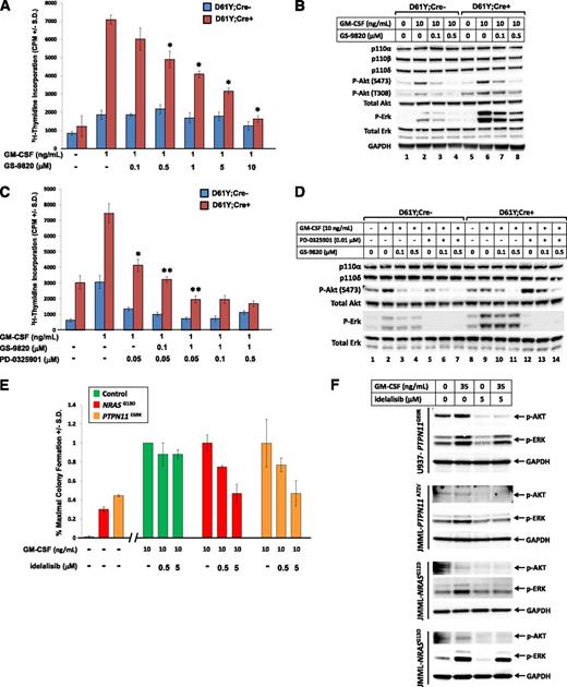 Figure 2. Pharmacologic inhibition of PI3K catalytic subunit p110δ reduces proliferation of GOF-Shp2-expressing cells and JMML primary cells. (A) Proliferation of bone marrow LDMNCs from polyI:polyC-treated Shp2D61Y/+;Mx1Cre− (D61Y;Cre−) and Shp2D61Y/+;Mx1Cre+ (D61Y;Cre+) mice in response to GM-CSF 1 ng/mL in the presence of increasing concentrations of the p110δ-specific inhibitor, GS-9820; n = 4. *P < .05 for D61Y;Cre+ cells treated with GS-9820 compared with no drug; statistics performed using unpaired, 2-tailed student’s t test. (B) Immunoblot demonstrating reduced phospho-Akt and phospho-Erk in response to increasing concentrations of GS-9820. (C) Proliferation of bone marrow LDMNCs from polyI:polyC-treated Shp2D61Y/+;Mx1Cre− (D61Y;Cre−) and Shp2D61Y/+;Mx1Cre+ (D61Y;Cre+) mice in response to GM-CSF 1 ng/mL in the presence of the MEK inhibitor, PD-0325901, and increasing concentrations of the p110δ-specific inhibitor, GS-9820; n = 4. *P = .0002 for D61Y;Cre+ cells treated with 0.05 μM PD0325901 vs no PD0325901. **P = .01 or **P = .0002 for D61Y;Cre+ cells treated with either 0.05 μM PD0325901 + 0.1 μM GS-9820 or 0.05 μM PD0325901 + 1 μM GS-9820, respectively, compared with 0.05 μM PD-0325901, statistics performed using unpaired, 2-tailed student’s t test. (D) Immunoblot demonstrating maximal inhibition of Erk and Akt activation in the presence of both PD0325901 and GS-9820. (E) Control human bone marrow LDMNCs or primary JMML LDMNCs (2 independent patient samples) were plated in duplicate in methylcellulose-based progenitor assays in the absence or presence of human GM-CSF 10 ng/mL and increasing concentrations of the PI3K p110δ-specific inhibitor, idelalisib. Data are represented as percentage maximal colony formation, calculated by dividing the number of colonies in each condition by the average number of colonies in the presence of 10 ng/mL GM-CSF. (F) Myelomonocytic cell line U937 or primary JMML LDMNCs (3 independent samples) were treated with GM-CSF, idelalisib alone, or GM-CSF plus idelalisib, followed by examination of AKT (S473) and ERK activation by immunoblot.