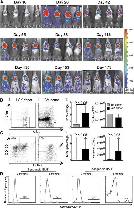 Figure 4. ITI of multipotent HSPCs results in long-lasting generation of donor T cells. (A) Lethally irradiated C57BL/6 recipients were transplanted with C57BL/6.CD45.1+ Lin− BM cells and received 3000 C57BL/6.Thy1.1+ luciferase-expressing LSK cells via ITI 2 hours after irradiation. The whole-body distribution of LSK-derived cells at the indicated time points after BMT was monitored using in vivo BLI. Pseudocolor images superimposed on conventional photographs are shown. A total of 4 representative animals of 10 are presented. (B) Animals were treated as described in panel A. Thymuses were harvested 6 months after BMT and analyzed for early T-cell progenitor populations (CD25− LSK cells were resolved into subpopulations based on c-kit and IL-7Rα expression) gated on cells of BM donor and LSK donor origin. (i-ii) Representative plots of 1 of 4 LSK group samples are presented. (iii) Mean and SEM are presented (n = 4). (C) Animals were treated as described in panel A. Thymuses were harvested 6 months after BMT and analyzed for long-term HSC populations of BM donor and LSK donor origin (LSK cells were resolved into subpopulations based on CD48 and CD150 expression). (i-ii) Representative plots of 1 of 4 LSK group samples are presented. (iii) Mean and SEM are presented (n = 4). (D) Syngeneic BMT: C57BL/6 recipients were transplanted as described in panel A. Allogeneic BMT: lethally irradiated BALB/c recipients were transplanted with C57BL/6 TCD BM cells and received 5000 C57BL/6.CD45.1+ LSK cells via ITI 2 hours after irradiation. Thymuses were harvested 2 months and 6 months after BMT and analyzed for CD4−CD8−CD11b+ populations of LSK donor origin. Representative plots of 2 to 5 LSK group samples are presented.