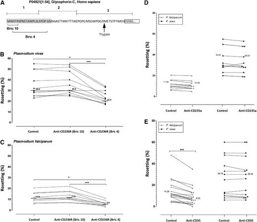 Figure 5. Antibody blocking rosette formation. (A) Schematic diagram of the target sites of anti-CD236R antibody clone BRIC 10 and anti-CD236R antibody clone BRIC 4 on human CD236R structure. The target site of trypsin on this sialoglycoprotein is shown by the black arrow. (B-C) Rosetting inhibition in P vivax and P falciparum caused by Fab fragments specifically targeting the BRIC 10 and BRIC 4 locations on CD236R. BRIC 4 showed a significant reduction in rosetting of P falciparum isolates (P < .0001) and P vivax isolates (P < .0001) studied. A paired Student t test was conducted. (D) Rosetting inhibition by mouse anti-human CD35 antibody. Unlike in P vivax, this antibody significantly reduced rosetting rate of P falciparum isolates tested (P < .0001). (E) Comparison of rosetting rates between the control and cells incubated with Fab fragments of mouse anti-human glycophorin A antibody from P falciparum and P vivax isolates recruited. There was no significant difference between the control group and the “anti-glycophorin A” group in P vivax and P falciparum isolates studied.