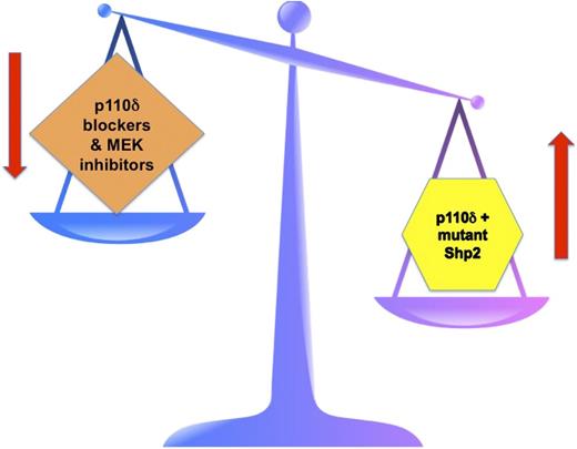 The right side of the scale depicts JMML pathogenesis with Shp2 mutants favoring uncontrolled leukemic cell growth. This is further promoted by the p110δ subunit of PI3K. The left side of the scale depicts the goal of targeted therapy in JMML. By blocking p110δ PI3K and by inhibiting MEK, hopefully the “scales of cell growth” will once again balance out.