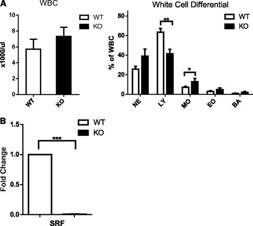 Figure 1. White blood cell counts and differential in Srf WT and KO mice and efficiency of Srf deletion. (A) WBC and white cell differential in primary Vav-Cre/Srf WT and KO mice. PB from Vav-Cre/Srf WT and KO mice aged 3-12 days was obtained and WBC and WBC differential assessed on Hemavet. (B) qRT-PCR on neutrophils flow sorted based on Gr-1high 7/4high granularityhigh criteria from Vav-Cre/Srf WT and KO mice. Srf expression is successfully abrogated in Vav-Cre/Srf KO neutrophils (100-fold, P < .0005; n = 4). *P < .05, **P < .005, ***P < .0005.