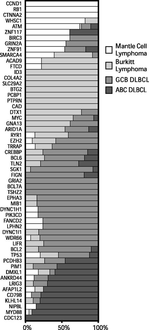 Figure 2. Patterns of exonic mutations across lymphomas show similarly and differentially mutated genes. The bar graph depicts the proportion of mutated cases that belong to each lymphoma type for MCL, BL, GCB DLBCL, and ABC DLBCL. ABC, activated B-cell like; GCB, germinal center B-cell like.