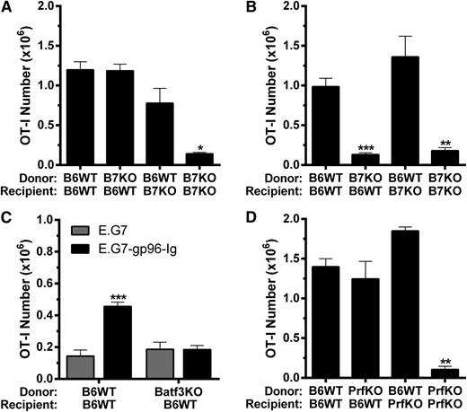 Figure 2. B7 costimulation, Batf3 and perforin-1 were required for optimal tumor-reactive CD8+ T-lymphocyte expansion induced by vaccination with gp96-Ig-secreting tumor cells following syngeneic HSCT. BM transplants were performed as in Figure 1 using mice deficient in (A-B) CD80 and CD86 (B7KO), (C) Batf3 (Batf3KO), or (D) perforin-1 (PrfKO) as donors and/or recipients with (A) coinfusion or (B-D) delayed infusion of (A-B,D) 1.0 × 106 or (C) 0.5 × 106 tumor-reactive CD8+ T cells (OT-I), and the peritoneal cavity was analyzed 5 days following intraperitoneal vaccination with tumor cells secreting gp96-Ig. (A) Donor and recipient APC contributed to expansion of tumor-reactive CD8+ T cells, that were cotransplanted with the BM, following vaccination with gp96-Ig-secreting tumor cells; n = 3 to 9 from a pool of 3 experiments. (B) Only donor APC contributed to expansion of tumor-reactive CD8+ T lymphocytes, that were infused 5 days after HSCT, induced by vaccination with tumor cells secreting gp96-Ig; n = 2 to 4 from a pool of 2 experiments. (C) Donor cross-presenting CD11c+ CD8α+ dendritic cells were required for optimal expansion of tumor-reactive CD8+ T cells following vaccination with gp96-Ig-secreting tumor cells; n = 5. (D) Perforin-1 could be supplied by either donor or recipient cells for optimal expansion of tumor-reactive CD8+ T lymphocytes following vaccination with tumor cells secreting gp96-Ig; n = 2 to 4 from a pool of 2 experiments.