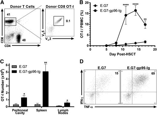 Figure 3. Tumor-reactive CD8+ T lymphocytes obtained from tumor-bearing donors were expanded and functional following transplantation into syngeneic HSCT recipients and vaccination with tumor cells secreting gp96-Ig. Conditioned (9.5 Gy) B6 recipients received B6-CD45.1+ TCD-BM cells supplemented with 2.0 × 106 B6-CD90.1+ CD4+ and CD8+ T lymphocytes obtained from E.G7 lymphoma-bearing donors, containing ∼1000 tumor-reactive CD8+ T cells (OT-I). Recipients were vaccinated intraperitoneally with irradiated (40 Gy) E.G7 cells secreting gp96-Ig 2 days after HSCT and repeated every 3 days for a total of 5 vaccinations. (A) CD4+ and CD8+ splenic and LN T cells from a typical tumor-bearing B6-CD90.1+ donor mouse. These animals were injected 3 weeks before HSCT with 5.0 × 105 CD8+ OT-I T lymphocytes intravenously and 4.0 × 106 E.G7 lymphoma cells intraperitoneally and bear progressively growing tumors. Tumor was only detectable at the site of injection (peritoneal cavity) at this time. Total events analyzed represented 2.5 × 106 viable cells, and CD8+ OT-I T lymphocytes were clearly identified (1000 CD8+ CD90.1− Vα2+ Vβ5+/1.0 × 106 CD8+ CD90.1+). (B) Multiple vaccinations with gp96-Ig-secreting tumor cells induced expansion of tumor-reactive CD8+ T cells obtained from tumor bearing donors; n = 4; ♦, E.G7; ●, E.G7-gp96-Ig. (C) Tumor-reactive CD8+ T lymphocytes expanded at the vaccine site and other lymphoid tissues 5 days following 3 vaccinations with tumor cells secreting gp96-Ig; n = 2. (D) Vaccination with gp96-Ig-secreting tumor cells induced highly IFN-γ+ and TNF-α+ tumor-reactive CD8+ T cells 5 days following 3 vaccinations; representative dot plots from n = 2.