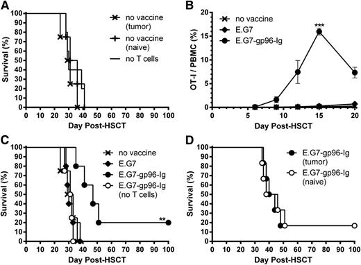 Figure 4. Multiple vaccinations with tumor cells secreting gp96-Ig expanded tumor-reactive CD8+ T lymphocytes and increased survival in T cell-replete syngeneic HSCT recipients with lymphoma. Transplants were performed as in Figure 3, and recipients were inoculated intraperitoneally with 1.0 × 105 E.G7 lymphoma cells the following day to simulate tumor relapse after HSCT. (A) Equivalent survival of HSCT recipients with lymphoma receiving T cells from tumor-bearing or tumor-naive donors or no T cells; n = 4 to 5 from 3 independent experiments; x, no vaccine (tumor); +, no vaccine (naive); −, no T cells. (B) Multiple vaccinations with gp96-Ig-secreting tumor cells efficiently expanded tumor-reactive CD8+ T cells in lymphoma-bearing HSCT recipients. Two days following tumor inoculation, recipients were vaccinated intraperitoneally with irradiated (40 Gy) E.G7 lymphoma cells secreting gp96-Ig and repeated every 3 days for a total of 5 vaccinations; n = 20 from pool of 4 experiments; x, no vaccine; ♦, E.G7; ●, E.G7-gp96-Ig. (C) Vaccination with tumor cells secreting gp96-Ig led to increased MST and overall survival of lymphoma-bearing HSCT recipients; n = 4 to 5; x, no vaccine; ♦, E.G7; ●, E.G7-gp96-Ig; ○, E.G7-gp96-Ig (no T cells). The no vaccine group illustrated here is shown in A with other nonvaccinated groups. (D) Equivalent survival of vaccinated HSCT recipients receiving T cells from tumor-bearing or tumor-naive donors; n = 6; ●, E.G7-gp96-Ig (tumor); ○, E.G7-gp96-Ig (naive).