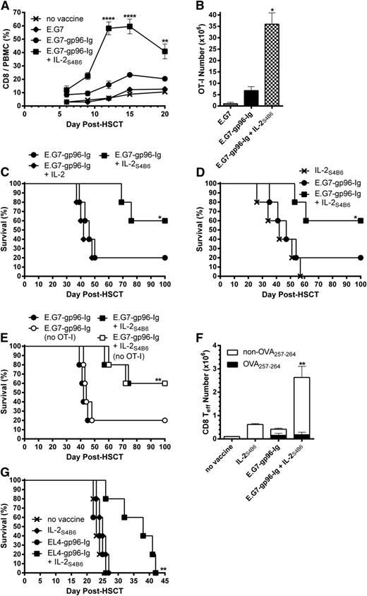 Figure 5. IL-2 administered in vivo after complex with anti-IL-2 mAb effectively expanded CD8+ T lymphocytes and augmented antitumor immunity induced by vaccination with tumor cells secreting gp96-Ig in lymphoma-bearing syngeneic HSCT recipients. Transplants, tumor inoculation, and treatments were performed as in Figure 4, and mice received IL-2S4B6 1 day following each vaccination as indicated. (A) IL-2S4B6 treatment induced robust expansion of CD8+ T cells in vaccinated HSCT recipients with lymphoma during the first 3 weeks after HSCT. CD8+ T-cell frequency in the peripheral blood; n = 20 from a pool of 4 experiments; x, no vaccine; ♦, E.G7; ●, E.G7-gp96-Ig; ■, E.G7-gp96-Ig + IL-2S4B6. (B) Tumor-reactive CD8+ T lymphocytes markedly expanded at the vaccine site and other lymphoid tissues of lymphoma-bearing HSCT recipients 5 days following 3 treatments with IL-2S4B6 and gp96-Ig vaccine. Tumor-reactive CD8+ T-cell number in the peritoneal cavity, spleen, and draining LNs; n = 2. (C) Combination therapy with vaccination and IL-2S4B6 increased MST and overall survival of syngeneic HSCT recipients with lymphoma. Noncomplexed, unbound IL-2 in combination with vaccination failed to enhance survival of lymphoma-bearing HSCT recipients; n = 5; ●, E.G7-gp96-Ig; ♦, E.G7-gp96-Ig + IL-2; ■, E.G7-gp96-Ig + IL-2S4B6. (D) IL-2S4B6 in the absence of vaccination marginally enhanced survival of lymphoma bearing HSCT recipients; n = 5; x, IL-2S4B6; ●, E.G7-gp96-Ig; ■, E.G7-gp96-Ig + IL-2S4B6. (E) MST and overall survival of T cell-replete syngeneic HSCT recipients with lymphoma following vaccination and IL-2S4B6 was independent of transgenic antigen-specific CD8+ T-cell presence; n = 5; ●, E.G7-gp96-Ig; ○, E.G7-gp96-Ig (no OT-I); ■, E.G7-gp96-Ig + IL-2S4B6; □, E.G7-gp96-Ig + IL-2S4B6 (no OT-I). (F) CD8+ effector T-cell numbers at the vaccine site were markedly increased only following vaccine and IL-2S4B6 treatment. CD8+ Teff (CD62L− CD44+), including endogenous non-TCR transgenic DimerX−Kb−OVA257-264+, cell numbers in the peritoneal cavity; n = 5. (G) Combined EL4-gp96-Ig and IL-2S4B6 vaccination strategy prolonged MST in EL4-bearing HSCT recipients; n = 5; x, no vaccine; ♦, IL-2S4B6; ●, EL4-gp96-Ig; ■, EL4-gp96-Ig + IL-2S4B6.
