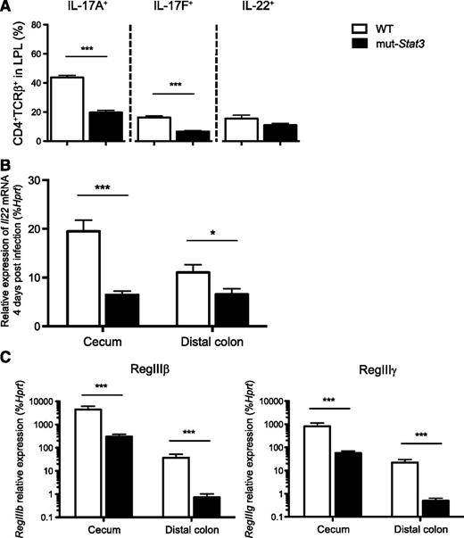 Figure 4. The mut-Stat3 mouse lamina propria lymphocytes have altered cytokine expression in response to C rodentium infection. Mean values of cytokine expression (A) in viable CD4+ colonic lamina propria T cells isolated from WT or mut-Stat3 mice 14 days after oral infection with 5 × 109 CFU C rodentium. The mRNA expression of Il22 (B) and its associated antimicrobial peptides (C) were determined by quantitative PCR in the cecums and distal colons from WT or mut-Stat3 mice 14 days after oral infection with 5 × 109 CFU C rodentium. Histograms represent mean values + SEM, data are representative of 2 independent experiments (n = 8 per group). *P < .05; ***P < .001.
