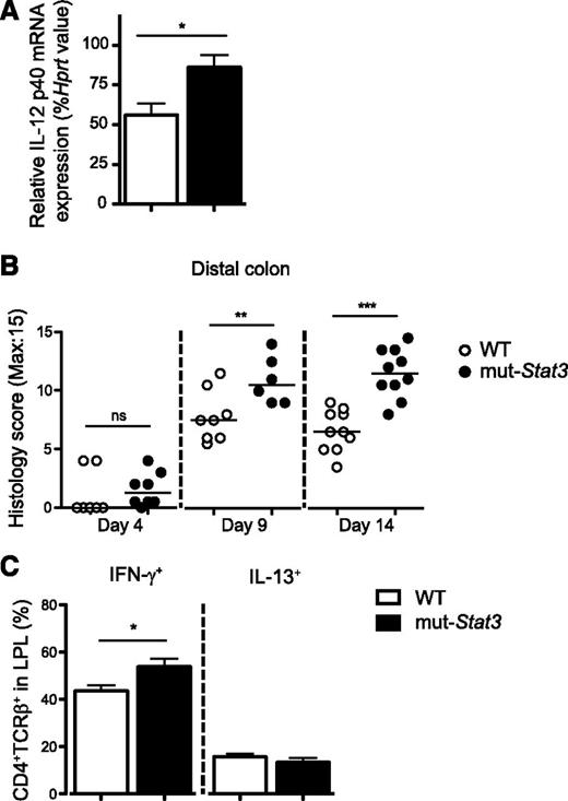 Figure 5. The mut-Stat3 mice have a heightened inflammatory response after infection with C rodentium. Relative expression of IL-12 p40 subunit mRNA in the colons of WT and mut-Stat3 mice 4 days after infection with C rodentium (A). Histology analysis of inflammation present in the distal colon was determined at days 4, 9, and 14 postoral infection with 5 × 109 CFU C rodentium (B). IFN-γ and IL-13 expression in the colonic lamina propria CD4+ T cells at day 14 postinfection was determined by intracellular staining (C). Histograms represent mean values + standard error of the mean, data are representative of 2 independent experiments (n = 8 per group). ns = not significant. *P < .05; **P < .01; ***P < .001.
