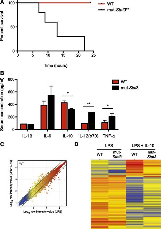 Figure 6. The mut-Stat3 mice were susceptible to LPS-induced septic shock. WT and mut-Stat3 mice were intraperitonally injected with 250 µg LPS, animals were monitored for survival over the following 24 hours. **P = .0015. (A) Serum cytokine measurements by Bead array and ELISA were made 90 minutes after LPS injection (B). Histograms represent mean values + standard error of the mean data were pooled from 2 experiments (n = 10 per group). CD11c+ splenocytes from WT and mut-Stat3 mice were stimulated with either LPS or LPS and IL-10 for 24 hours. Gene expression by Affymetrix microarray comparing LPS and LPS+IL-10 treated WT CD11c+ cells is shown as a scatter plot (C). Genes that had a greater than twofold change in gene expression between conditions were defined as IL-10 responsive genes (indicated by the thick green lines). Two dimensional cluster analysis of the IL-10 responsive gene list is presented (D). Each row corresponds to a transcript and each column to the mean expression values of a sample, pooled from 3 independent microarrays. The color denotes Log10 raw intensity value (blue: 1–red: 4). *P < .05; **P < .01.