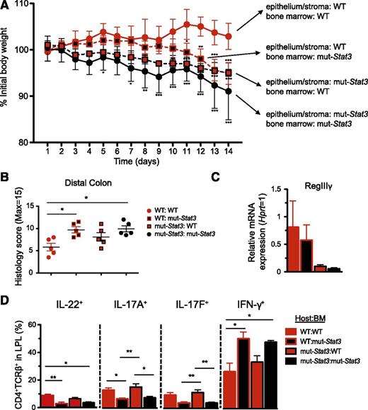 Figure 7. Hematopoetic and nonhematopoetic compartments contribute to increased susceptibility of mut-Stat3 mice to C rodentium. BM chimeras were generated by lethal irradiation of WT and mut-Stat3 mice followed by intravenous injection of 107 WT or mut-Stat3 BM cells. Mice rested for 8 weeks and were then orally challenged with 5 × 109 CFU C rodentium. Mice were assessed for weight loss (A). After 14 days animals were sacrificed and gut histology (B), relative expression of antimicrobial peptide mRNA (C), and CD4+ colonic lamina propria T-cell cytokine expression (D) was measured. Histogram columns represent mean values + standard error of the mean. Data are representative of 2 independent experiments (n = 5 per group, except for IL-22 staining where n = 4 per group). *P < .05; **P < .01.