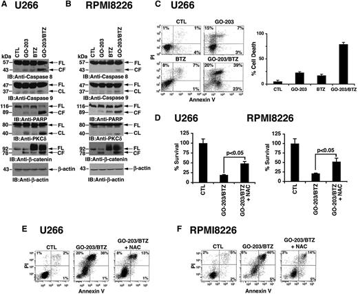 Figure 2. GO-203 promotes BTZ-induced MM cell death. (A-E) U266 and RPMI8226 cells were left untreated (CTL) and treated with (1) 2.5 μM GO-203 alone each day for 72 hours, (2) 9 nM BTZ for 24 hours, or (3) GO-203 for 48 hours combined with BTZ during an additional 24 hours. Where indicated, GO-203/BTZ-treated cells were also incubated in the presence of 5 mM NAC for 72 hours. Lysates were immunoblotted with the indicated antibodies (A-B). U266 cells were incubated with PI and annexin V and analyzed by flow cytometry (C, left). The percentage of PI+ and/or annexin V+ cells is included in the panels (C, left). The results are expressed as the percentage (mean ± SD of 3 determinations) of dead cells (C, right). Percentage survival (mean ± SD of 3 determinations) was determined by Alamar blue staining (D). The indicated cells were incubated with PI and annexin V and analyzed by flow cytometry (E-F).