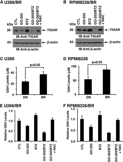Figure 7. BTZ resistance is conferred by increases in GSH. (A-B) U266/BR (A) and RPMI8226/BR (B) cells were left untreated (CTL) and treated with (1) 2.5 μM GO-203 alone each day for 72 hours, (2) 20 (U266/BR) or 16 (RPMI8226/BR) nM BTZ for 24 hours, or (3) GO-203 for 48 hours combined with BTZ during an additional 24 hours. GO-203/BTZ-treated cells were also incubated in the presence of 5 mM NAC for 72 hours. Lysates were subjected to immunoblot analysis with the indicated antibodies. (C-D) The indicated drug-naïve and BTZ-resistant cells were analyzed for GSH levels. The results (mean ± SD of 3 determinations) are expressed as μM GSH per 106 cells. (E-F) U266/BR (E) and RPMI8226/BR (F) cells were treated as described in panels A and B and were analyzed for relative GSH levels (mean ± SD of 3 determinations) as compared with that obtained with control cells. BR, BTZ-resistant cells; DN, drug-naïve cells.