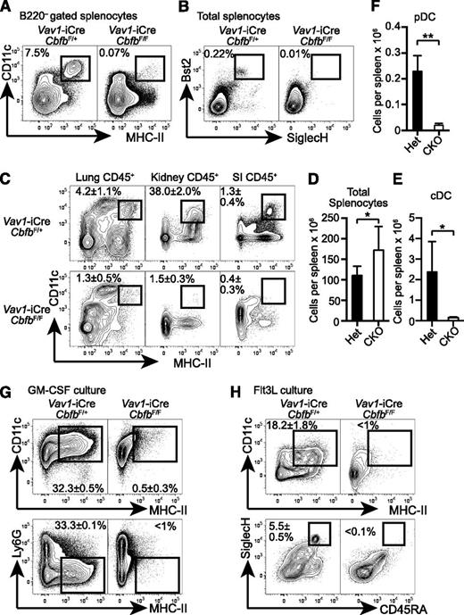 Figure 1. Cbfb is required for the development of DCs. (A) Splenocytes from 6- to 8-week-old Vav1-iCre+CbfbF/+ (Het) and Vav1-iCre+CbfbF/F (CKO) mice were analyzed for CD11c, MHC-II, and B220 expression. CD11c+MHC-II+ cDCs in B220– gated splenocytes are shown with rectangle gates and percentages. Statistical analysis is shown in panel E as mean and standard deviation (n = 8). (B) Bst2 and SiglecH expression in total splenocytes from Vav1-iCre+CbfbF/+ and Vav1-iCre+CbfbF/F mice. Bst2+SiglecH+ pDCs are shown with rectangle gates and percentages, and statistical analysis is shown as mean and standard deviation in panel F (n = 4). (C) Mononuclear cells from lung, kidney, and SI in 6- to 8-week-old Vav1-iCre+CbfbF/+ and Vav1-iCre+CbfbF/F mice were analyzed for expression of CD45, CD11c, and MHC-II. CD11c+MHC-II+ cDCs in CD45+ gated cells are shown with rectangle gates. Mean percentages and standard deviation of total CD45+ cells from 4 mice are shown (n = 4). (D) Statistical analysis of total splenocyte numbers from Vav1-iCre+CbfbF/+ and Vav1-iCre+CbfbF/F mice shown as mean and standard deviation (n = 8). (G-H) Total BM cells were cultured in the presence of GM-CSF (G, n = 2) or Flt3L (H, n = 4) in vitro, and DC differentiation was examined by expression of CD11c, MHC-II, Ly6G, CD45RA, and SiglecH using flow cytometry. Statistical difference was assessed with the unpaired 2-tailed Student t test. *P < .05; **P < .01. SI, small intestine.