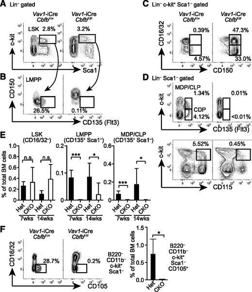 Figure 2. Cbfb is required for the development of Flt3+ progenitor cells in BM. (A-B) BM cells from 6- to 8-week-old Vav1-iCre+CbfbF/+ (Het) and Vav1-iCre+CbfbF/F (CKO) mice were analyzed for expression of lineage markers (B220, CD11b, MHC-II, CD16/32), c-kit, Sca1, CD150, CD105, CD115, and CD135 (Flt3). Frequencies of LSK HSCs/MPPs (A), and Flt3+ LSK LMPPs (B) are shown with rectangular gates. (C) CD150 and CD16/32 expression in Lin–c-kit+Sca1– progenitors. CD16/32+CD150+ and CD16/32–CD150+ populations are shown with rectangular gates with percentages. (D) c-kit and CD135 or CD115 expression in Lin–Sca1– BM progenitors. Flt3+c-kit+ (MDP/CLP), Flt3+Lin–Sca1–c-kitlo/– (CDP), and c-kit+CD115+ populations are shown with rectangular gates with percentages. (E) Statistical analysis of CD16/32– LSK, LMPP, and MDP cells at 6 to 8 (shown as 7 weeks) and 12 to 16 weeks (14 weeks) of age. (F) Expression of CD105 and CD16/32 in B220–CD11b–Sca1– BM cells in Vav1-iCre+CbfbF/+ (het) and Vav1-iCre+CbfbF/F (CKO) mice. CD105+ erythroid progenitor cells are shown with rectangular gates and frequencies (mean and standard deviation). *P < .05; ***P < .005. n.s., not significant. Flow cytometry data represent analysis of 3 to 6 mice.
