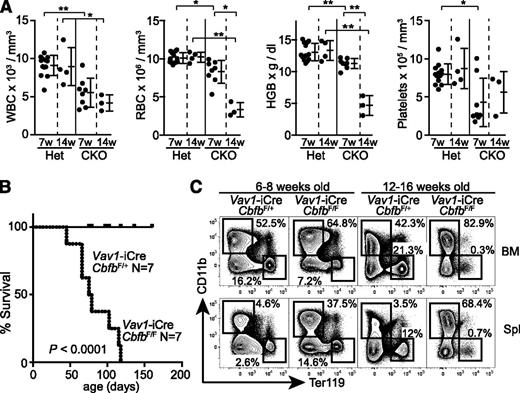 Figure 4. Development of severe anemia in Cbfb-CKO mice. (A) WBC and RBC counts, HGB levels, and platelet counts in the peripheral blood from Vav1-iCre+ CbfbF/+ (Het) and Vav1-iCre+ CbfbF/F (CKO) mice at 6 to 8 weeks (7w) and 12 to 16 weeks (14w) of age. (B) Kaplan-Meier plot showing survival of Vav1-iCre+CbfbF/+ and Vav1-iCre+CbfbF/F mice. (C) Ter119 and CD11b expression in total BM cells and splenocytes from Vav1-iCre+CbfbF/+ and Vav1-iCre+CbfbF/F mice at 6 to 8 and 12 to 16 weeks of age. Percentages of Ter119+ and CD11b+ cells are shown. Data are representative of 3 or more biological replicates. Statistical differences were assessed by unpaired Student t test (A) and the log-rank test (B). *P < .05; **P < .01. HGB, hemoglobin.