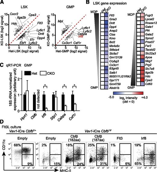 Figure 6. Runx proteins and Cbfβ restrict GMP-skewed differentiation of MPPs. (A) Microarray analysis of gene expression in LSK cells and GMPs from Vav1-iCre+CbfbF/+ (Het) and Vav1-iCre+CbfbF/F (CKO) mice presented as scattered plots. Signals with higher than threefold differences between Het and CKO samples are shown. (B) Expression of representative “GMP-specific” and “MDP-specific” genes in LSK cells is shown as a heat map. Expression of each gene is shown relative to control (Het) LSK cells. (C) qRT-PCR analysis of Cbfb, Irf8, Sfpi1 (PU.1), Cebpa (C/EBPα), and Csf1r (MCSF-R) in GMPs. Expression levels were normalized against the levels of 18S ribosomal RNA and shown as relative to Het control. Values show mean and standard deviation (n = 4); *P < .05. (D) In vitro DC differentiation from Cbfb-CKO BM cells with retroviral overexpression of Cbfβ (2 isoforms, n = 3), Irf8 (n = 3), and Flt3 (n = 2). CD11c+MHC-II+ and CD11c–MHC-II+ cells are gated with rectangles, and percentages from a representative experiment are shown.