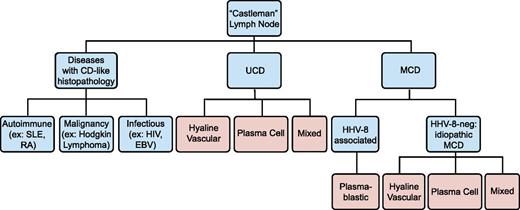 Figure 2. Diseases with Castleman-like lymph node histopathological features. Angiofollicular lymph node hyperplasia, or Castleman-like histopathological features are seen in unicentric and multicentric Castleman disease. These changes are nonspecific and can also be seen with other autoimmune diseases, malignancies, and infections. Disease states are listed in blue, and histopathological findings are listed in pink.