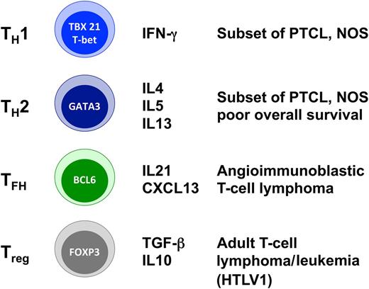 Population subsets of Th cells and corresponding T-cell lymphomas. TH, Th helper cell; TFH, follicular Th cell; Treg, regulatory T cell.