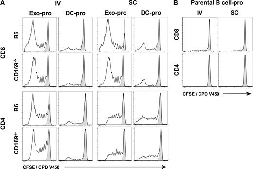 Figure 5. T-cell proliferation in response to exosomal-protein antigen. C57BL/6 or CD169−/− mice were immunized IV or SC in the forelimb with (A) PBS, 50 µg sucrose cushion purified exosomes derived from B cells cultured with 200 µg/mL ovalbumin protein for 2 days (Exo-pro), and 105 DC-pro or (B) 105 parental B cell-pro. DC and B cells were cultured with 200 µg/mL ovalbumin protein for 2 days. T-cell proliferation of adoptively cotransferred OT-I (CD8) and OT-II (CD4) cells (CFSE or CPD V450) were analyzed 5 days after immunization by flow cytometry. Black line, test group; shaded peak, PBS-immunized mice. Results representative of ≥6 mice per group.