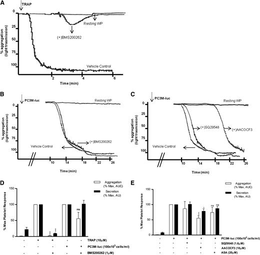 Figure 3. PAR-1 and thromboxane receptors do not mediate TCIPA or TCIPS. (A-C) Representative aggregation traces showing the effect of the reported inhibitors on TRAP (10 μM; A)– or PC3M-luc (100 × 103 cells per mL; B-C)–induced platelet aggregation. (D-E) Bar graph comparing the effect of the indicated inhibitors on platelet aggregation (n = 3/9) and secretion (n = 6/10) elicited by TRAP or PC3M-luc. Results were normalized for each donor relative to the maximal response seen in TRAP- or PC3M-luc–stimulated platelets (100%) in presence of the vehicle solution (data are expressed as mean ± SEM; *P < .05; ***P < .0001).