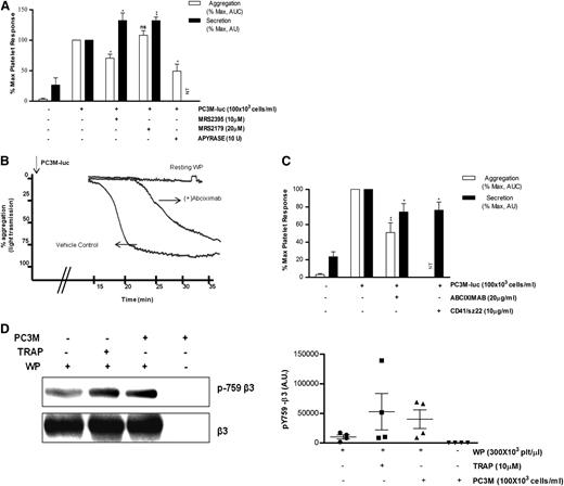 Figure 4. ADP receptor blockers attenuate TCIPA but potentiate TCIPS, whereas inhibition of αIIbβ3 affects both. (A,C) Bar graph comparing the effect of the indicated inhibitors on platelet aggregation (n = 3/6; **P < .01) and dense-granule secretion (n = 5/6; *P < .05) elicited by PC3M-luc. CD41/SZ22 antibody (Beckman Coulter, UK), was tested in platelet secretion but not aggregation. Results are expressed and normalized for each donor as explained in the Figure 3 legend (data are expressed as mean ± SEM). (B) Representative aggregation trace showing the effect of the reported inhibitors on TCIPA elicited by PC3M-luc (100 × 103 cells per mL). (D) β3 integrin is phosphorylated following platelet stimulation with PC3M. Lysates from resting platelets or platelets (300 × 103 platelets per μL) activated with either TRAP (10μM) or PC3M cells (100 × 103 cells per mL) were immune-blotted with a phospho-specific integrin β3 antibody (pY759) as indicated. Loading protein levels were determined after stripping and reprobing of the same gels using a pan-β3 antibody. (Left panel) The band intensities are estimated by densitometry, (right panel) adjusted for differences in loading levels as detected by pan β3. Data are expressed as AU and represent mean ± SEM for 4 independent experiments. AU, arbitrary unit; NT, not tested.