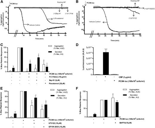 Figure 6. FcγRIIa, Syk, and PKC activation is necessary for PC3M to induce platelet aggregation and secretion. (A-B) Representative aggregation trace showing the effect of the reported inhibitors on PC3M-luc (100 × 103 cells per mL)–induced platelet aggregation. (C, E, F) Bar graph comparing the effect of the indicated inhibitors on platelet aggregation and dense-granule secretion (n = 4/9; *P < .05; **P < .01; ***P < .0001) elicited by PC3M-luc. Results are expressed and normalized for each donor as explained in the Figure 3 legend (data are expressed as mean ± SEM). (D) PC3M cells do not induce mouse platelet secretion. Mouse WPs (300 × 103 platelets per μL) were stimulated with PC3M cells (100 × 103 cells per mL) and results for luminescence, expressed as AAU, derived from platelet ATP/ADP release are shown. CRP (1 μg/mL)–stimulated platelets were used as the positive control (data are expressed as mean ± SEM).