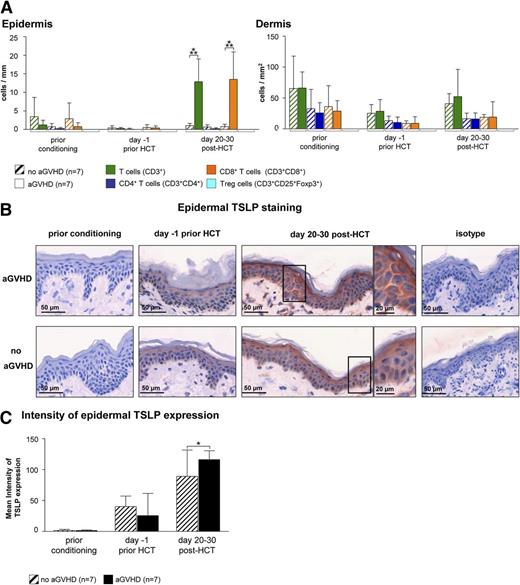 Figure 4. Epidermal TSLP expression and the presence of CD8+ T cells indicate the occurrence of aGVHD at day 20 to 30 after HCT. (A) IF stainings of T cells (T cells: CD3+; CD4+ T cells: CD3+CD4+; CD8+ T cells: CD3+CD8+; and regulatory T cells: CD3+CD25+Foxp3+) in normal-appearing skin of HCT recipients at different time points prior to and after HCT. Patients who later developed aGVHD (n = 7) were compared with those who did not (no aGVHD, n = 7). Data are given either as absolute numbers of positive cells ± SD per mm (epidermis) or per mm2 (dermis). (B) Epidermal IH taining of TSLP at different time points prior to or after HCT (prior conditioning, day −1 prior HCT, day +20-30 post-HCT) in a patient who later developed acute cutaneous GVHD compared with a patient who did not. The framed cells are shown in a larger magnification on the right-hand side of the figure. Slides were scanned using a TissueFAXS imaging system equipped with a Zeiss Axio Observer.Z1 microscope (Zeiss). Images were taken with a LD Plan-Neofluar objective (primary objective ×20/0.4, ocular objective ×10) using a PixeLINK PL-B623CF color digital camera (Zeiss), exported from the HistoQuest software (TissueGnostics GmbH) as tiff images, and processed in Adobe Photoshop CS5 (Adobe Systems). (C) The mean intensity of TSLP expression was evaluated using HistoQuest imaging analysis software (TissueGnostics GmBbH). All images were acquired and analyzed using identical hardware and software settings. *P < .05, ***P < .001.