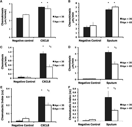 Figure 2. Chemokinesis, chemotaxis, and chemotactic index (accuracy) in neutrophils from younger and older subjects toward CXCL8 (A,C,E) and sputum (B,D,F). Neutrophils from healthy subjects (aged <35 or >65 years of age) migrated toward CXCL8 (100 nM) or pooled sputum collected from patients admitted to the hospital with an acute lower respiratory tract infection attributable to S. pneumoniae. Measurements were taken from 10 randomly selected cells from each individual, with 10 subjects in each group. The average results for each subject were calculated, and an overall average was used for comparisons between groups. Bars represent the mean migratory parameter with SD shown as the error line (A-F). Chemokinesis and chemotaxis were measured in micrometers per minute. Accuracy is a measure of the cell’s directional orientation and is expressed in a cs ranging from −1 to 1. * indicates significant difference in migratory parameter from negative control data (P < .05); §, significant difference in migratory parameter between young and old samples.