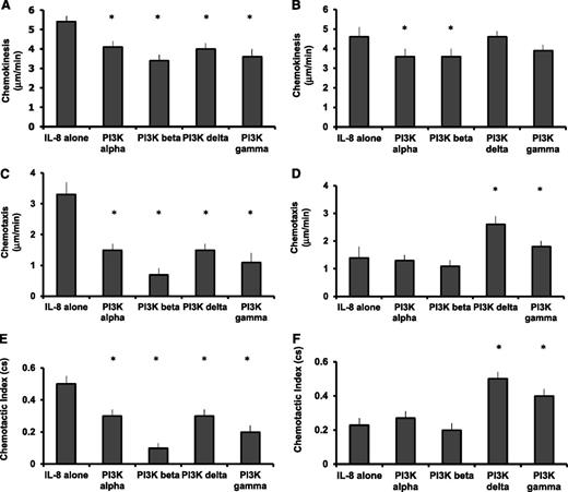 Figure 5. Chemokinesis, chemotaxis, and chemotactic index (accuracy) in neutrophils from young and old subjects toward CXCL8 in the presence of PI3K isoform selective inhibitors. Neutrophils from healthy subjects (aged <35 or >65 years of age) (n = 10 each group) migrated toward CXCL8 (100 nM) following incubation with carrier control or the denoted PI3K isoform selective inhibitor for 45 minutes. Measurements were taken from 10 randomly selected cells from each individual: from young donors (A,C,E) and from old donors (B,D,F). The average results for each subject were calculated, and an overall average was used for comparisons between groups. Bars represent the mean migratory parameter with SD shown as the error line (A-F). * indicates significant difference in migratory parameter from carrier control data (P < .05).